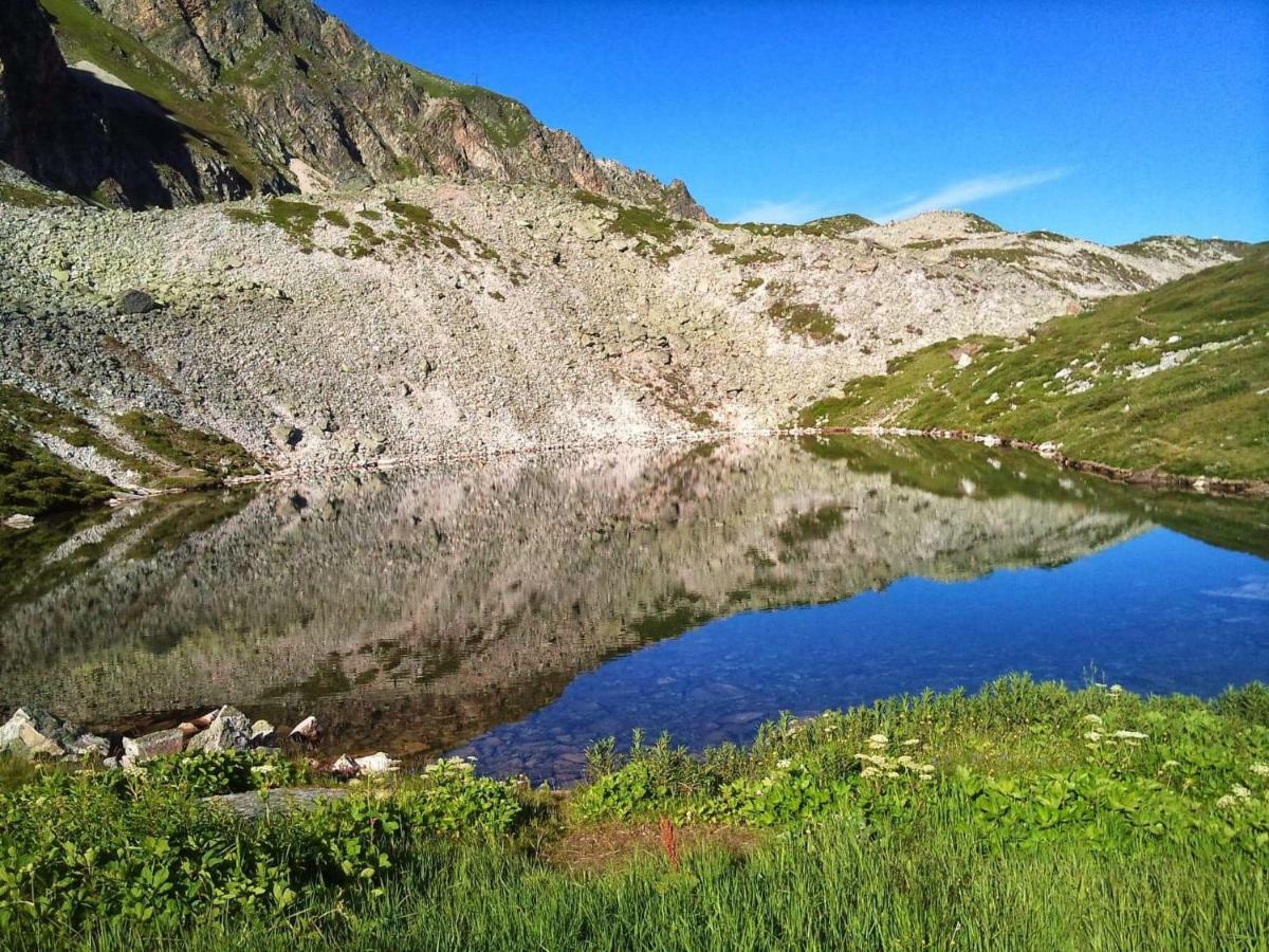 شقة L Edelweiss Et Sa Piscine البيتفيل المظهر الخارجي الصورة